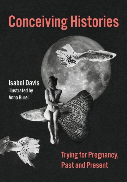 Isabel Davis - Conceiving Histories, E-bok