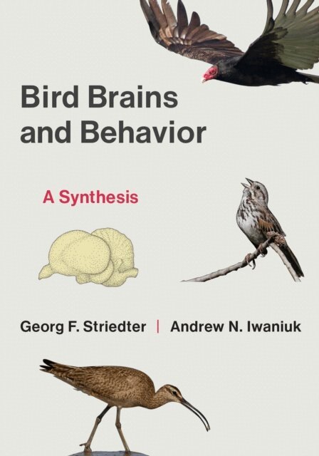 Andrew N. Iwaniuk, Georg F. Striedter - Bird Brains and Behavior, E-bok