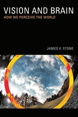 James V. Stone - Vision and Brain, Häftad. Tillgänglighet: Lägg i varukorg