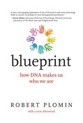 Blueprint