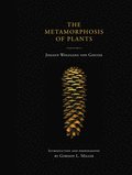 The Metamorphosis of Plants