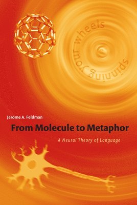 From Molecule to Metaphor av Jerome Feldman, Jerome Feldman