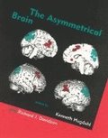 The Asymmetrical Brain