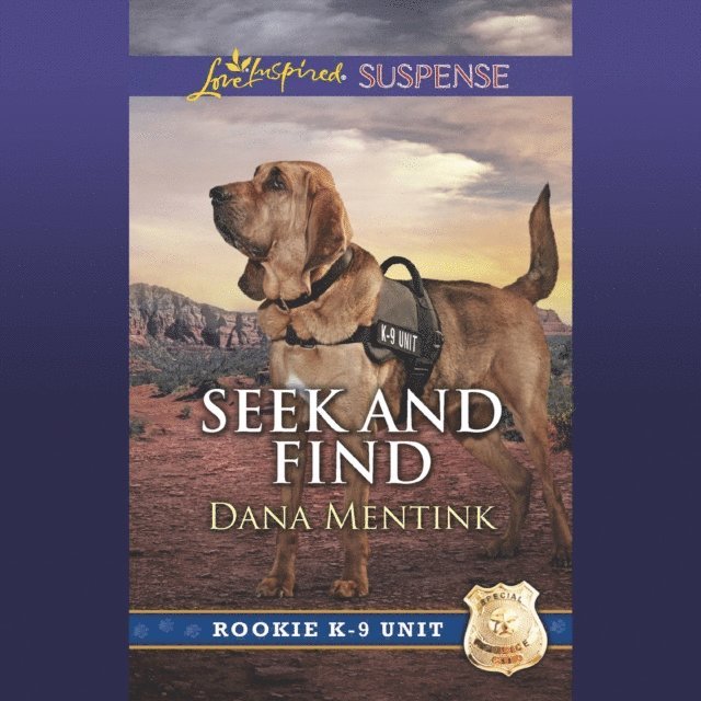 Dana Mentink - Seek And Find, Ljudbok