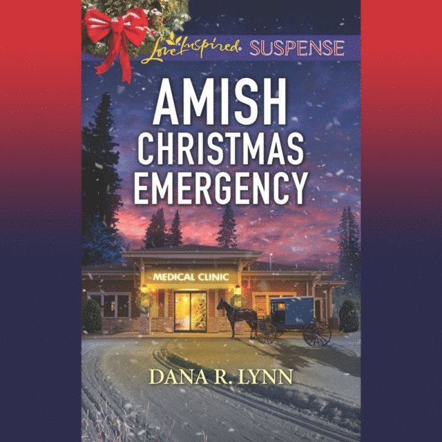 Dana R. Lynn - Amish Christmas Emergency, Ljudbok
