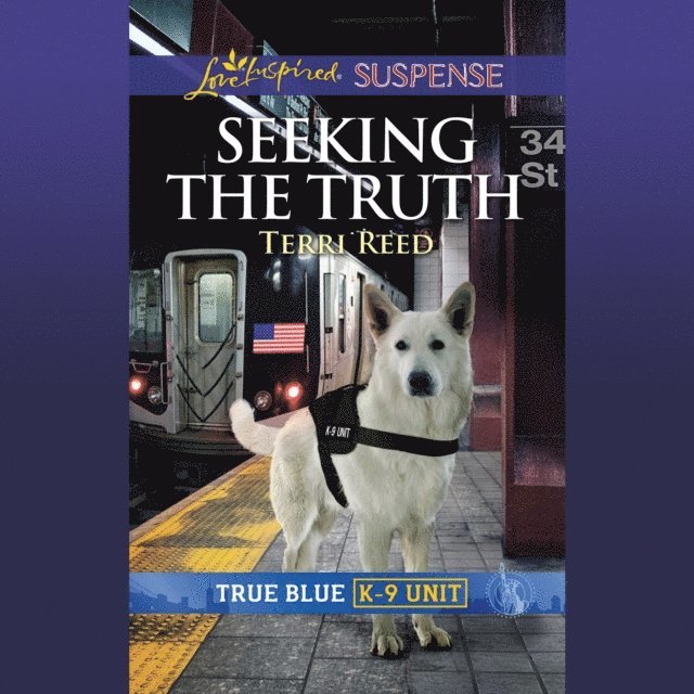 Terri Reed - Seeking The Truth, Ljudbok