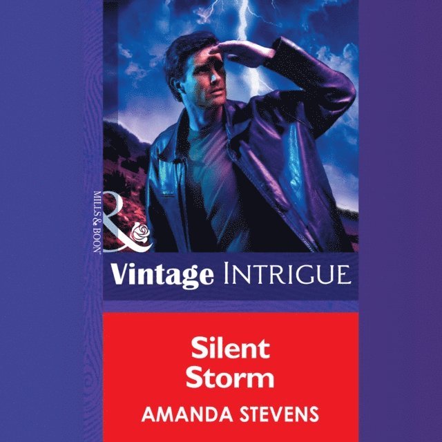 Amanda Stevens - Silent Storm, Ljudbok
