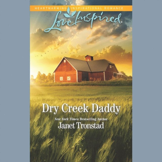 Janet Tronstad - Dry Creek Daddy, Ljudbok