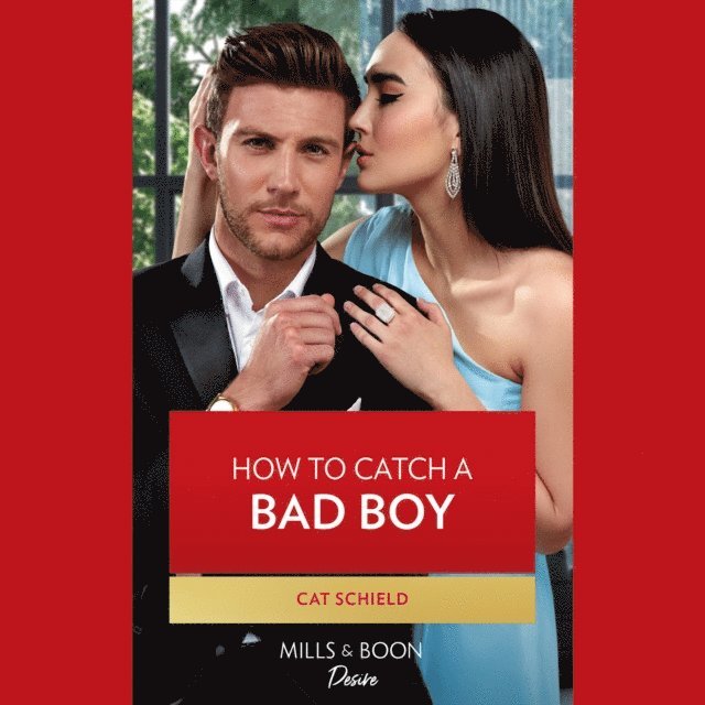 Cat Schield - How To Catch A Bad Boy, Ljudbok
