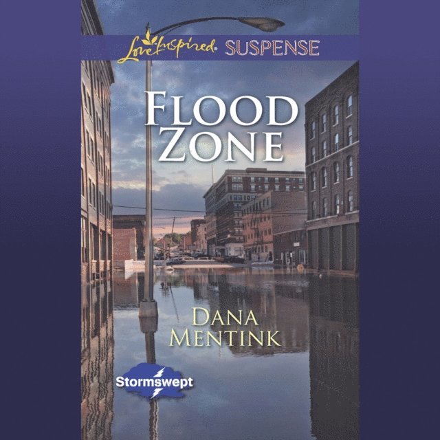 Dana Mentink - Flood Zone, Ljudbok