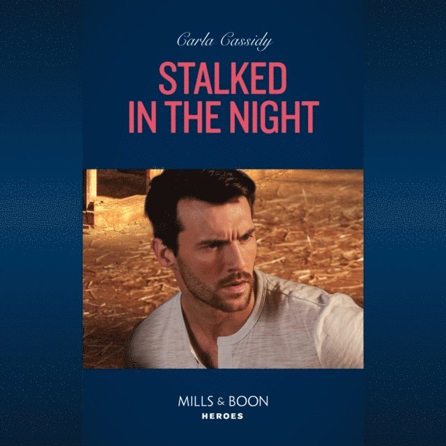 Carla Cassidy - Stalked In The Night, Ljudbok