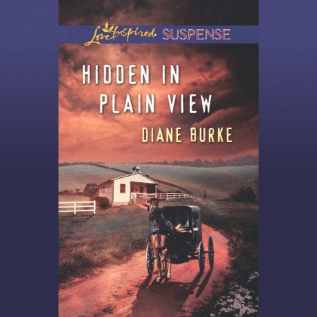 Diane Burke - Hidden In Plain View, Ljudbok