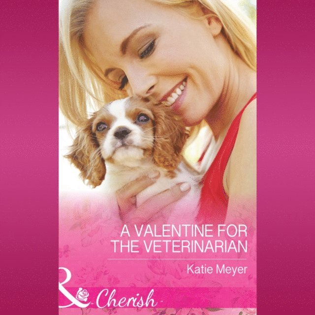 Katie Meyer - Valentine For The Veterinarian, Ljudbok