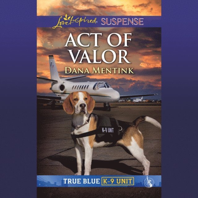 Dana Mentink - Act Of Valor, Ljudbok