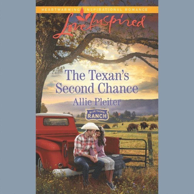 Allie Pleiter - Texan's Second Chance, Ljudbok