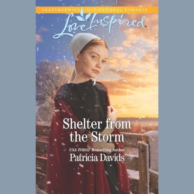 Patricia Davids - Shelter From The Storm, Ljudbok