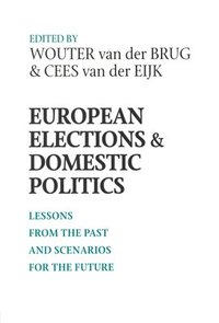 European Elections and Domestic Politics