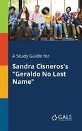 A Study Guide for Sandra Cisneros's &quot;Geraldo No Last Name&quot;
