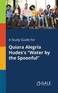 A Study Guide for Quiara Alegria Hudes's &quot;Water by the Spoonful&quot;