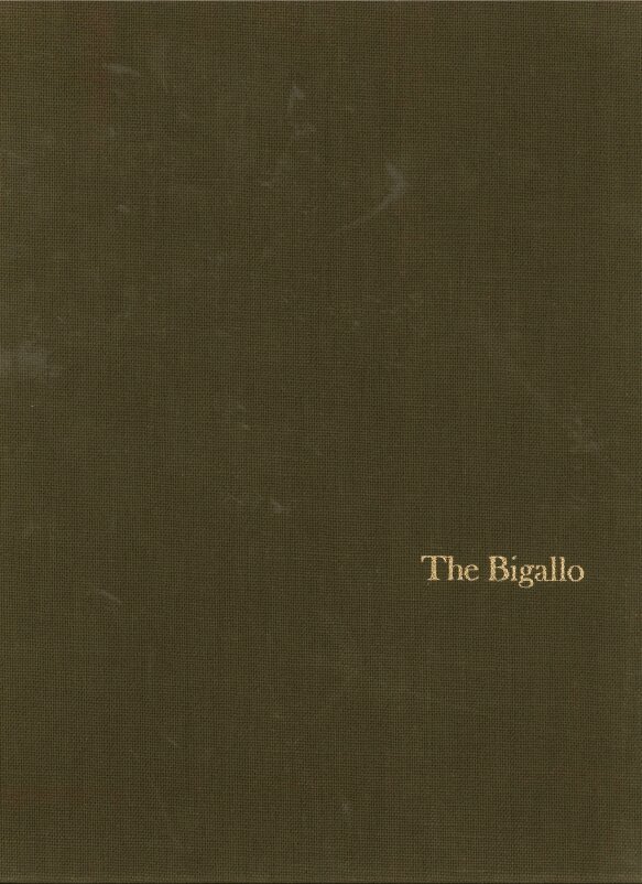 Howard Saalman - Bigallo, Inbunden. Tillgänglighet: Lägg i varukorg