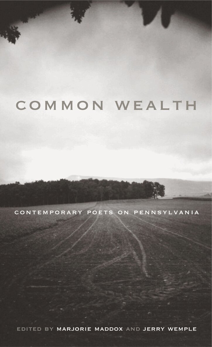Marjorie Maddox, Jerry Wemple - Common Wealth, Häftad. Tillgänglighet: Lägg i varukorg