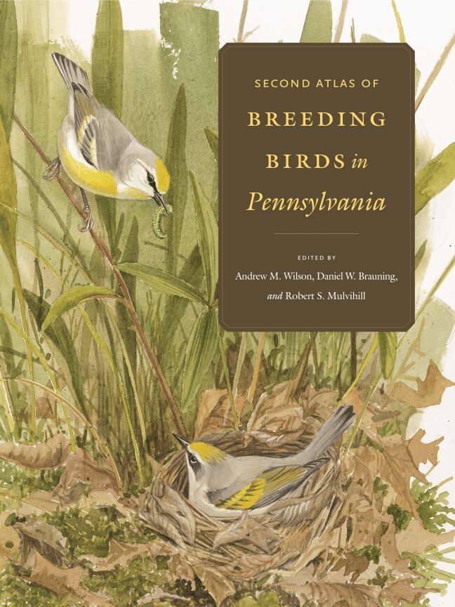 Andrew M. Wilson, Daniel W. Brauning, Robert S. Mulvihill - Second Atlas of Breeding Birds in Pennsylvania, Inbunden. Tillgänglighet: Tillfälligt slut