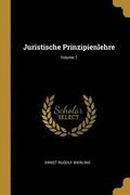 Juristische Prinzipienlehre; Volume 1