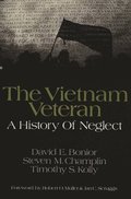 The Vietnam Veteran
