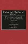 Under the Shadow of Weimar