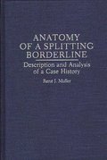 Anatomy of a Splitting Borderline