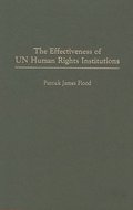 Effectiveness of UN Human Rights Institutions