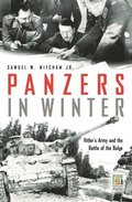Panzers in Winter