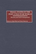 Small States in the Post-Cold War World
