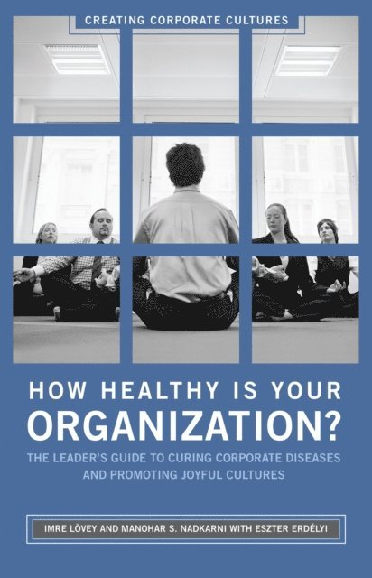 Imre Lövey, Eszter Erdélyi, Manohar Nadkarni - How Healthy Is Your Organization?, E-bok