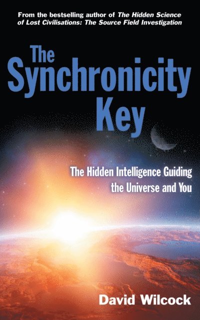 David Wilcock - Synchronicity Key, E-bok