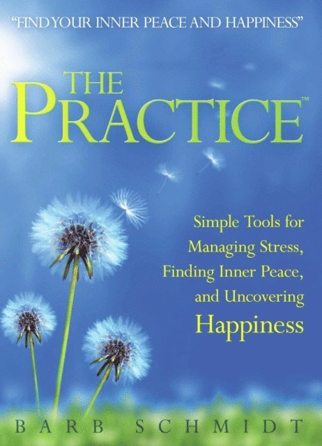 Barb Schmidt - Practice, E-bok. Tillgänglighet: Lägg i varukorg