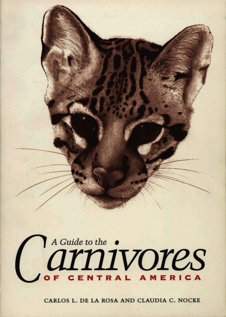 Carlos L. de la Rosa, Claudia C. Nocke - Guide to the Carnivores of Central America, Häftad