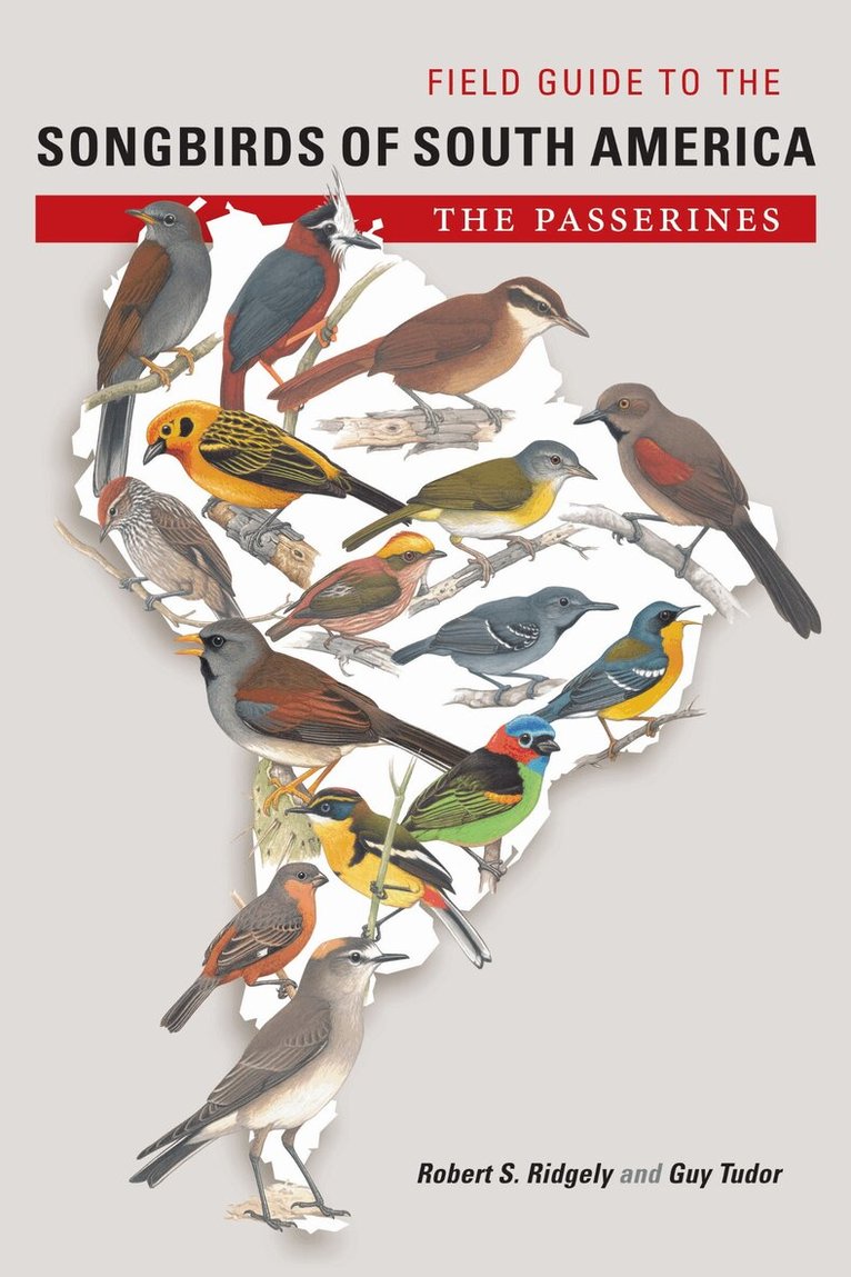 Robert S. Ridgely, Guy Tudor - Field Guide to the Songbirds of South America, Häftad. Tillgänglighet: Lägg i varukorg