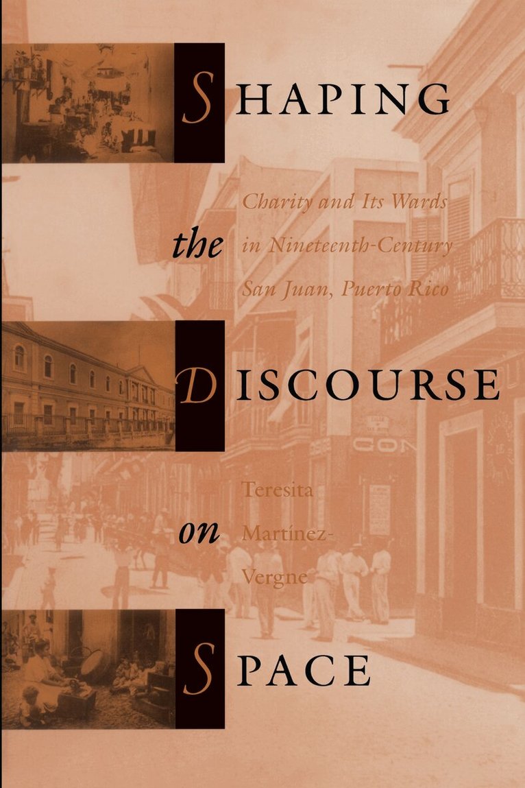 Teresita Martínez-Vergne - Shaping the Discourse on Space, Häftad