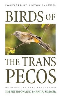 Birds of the Trans-Pecos