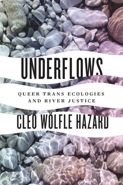 Cleo Wolfle Hazard - Underflows, E-bok