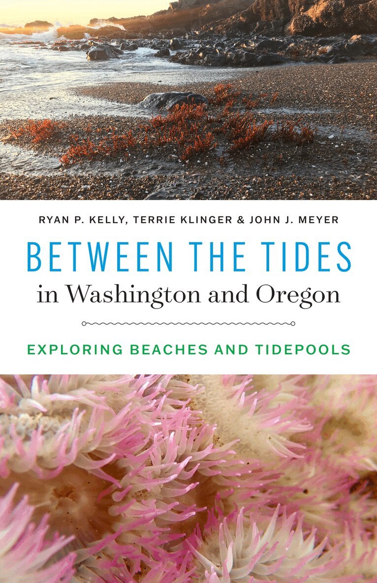 Ryan P. Kelly, Terrie Klinger, John J. Meyer - Between the Tides in Washington and Oregon, Häftad. Tillgänglighet: Lägg i varukorg