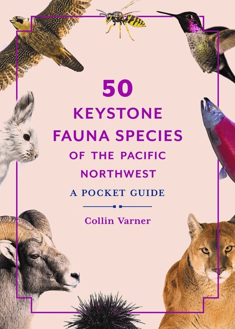 Collin Varner - 50 Keystone Fauna Species of the Pacific Northwest, Häftad