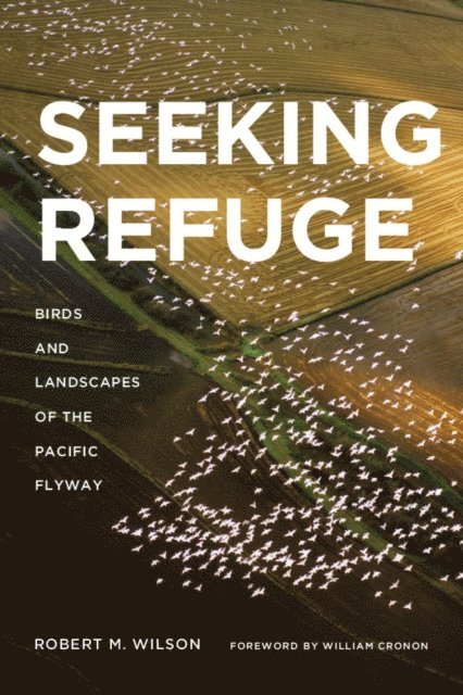 Robert M Wilson - Seeking Refuge, E-bok. Tillgänglighet: Lägg i varukorg