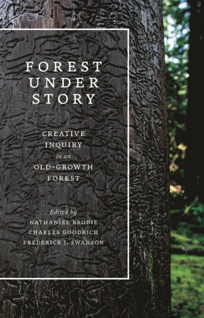 Frederick J. Swanson, Charles Goodrich, Nathaniel Brodie - Forest Under Story, E-bok