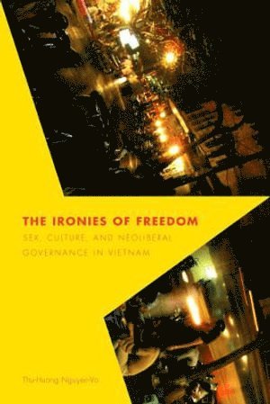 Ironies of Freedom av Thu-huong Nguyen-vo