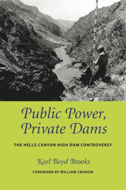 Public Power, Private Dams