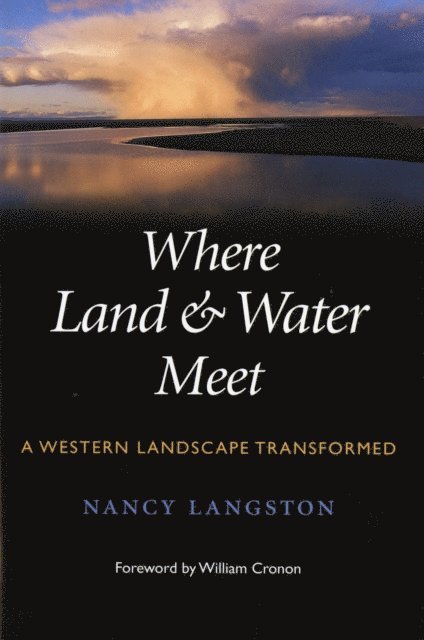 Nancy Langston - Where Land and Water Meet, E-bok