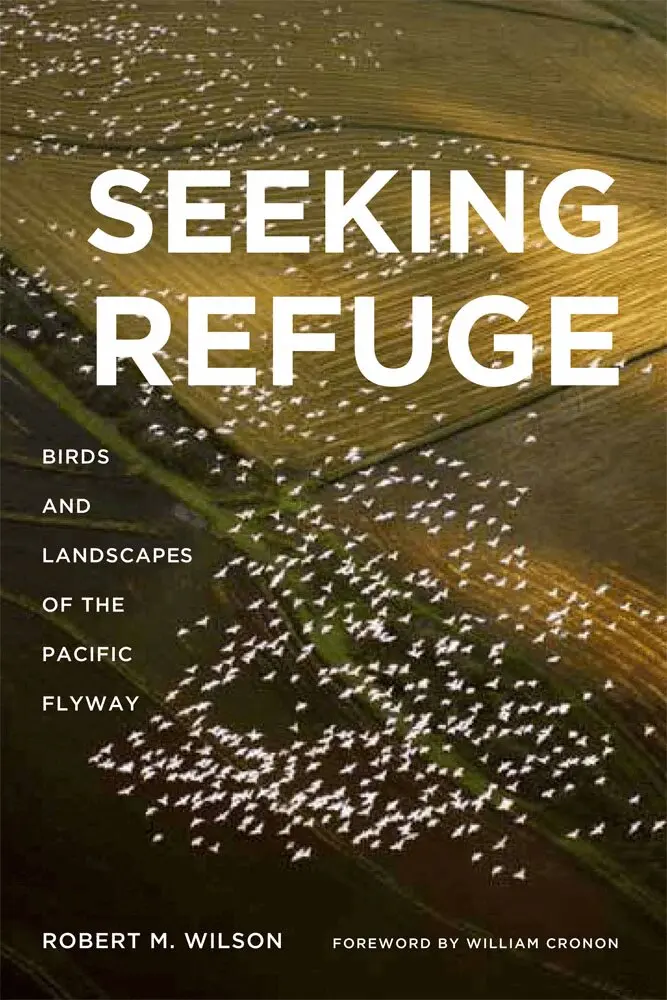 Robert M Wilson - Seeking Refuge, Inbunden. Tillgänglighet: Tillfälligt slut