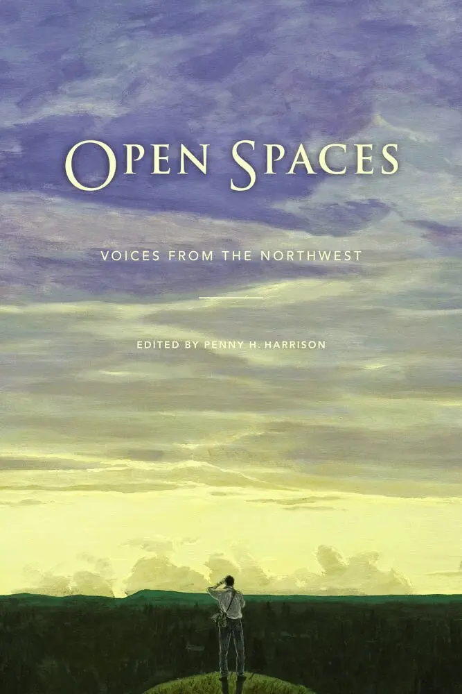 Penny H. Harrison - Open Spaces, Häftad. Tillgänglighet: Lägg i varukorg